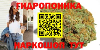mix Кингисепп