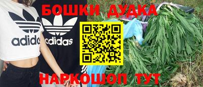сатива Кинель