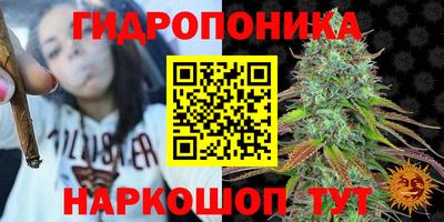 сатива Кинель
