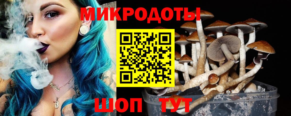 Псилоцибиновые грибы ЛСД Лениногорск